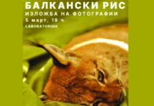 В четврток во Скопје ќе дојде патувачката изложба за балканскиот рис