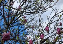 Претежно сончево со мала до умерена облачност – до среда не очекува релативно стабилно и топло време