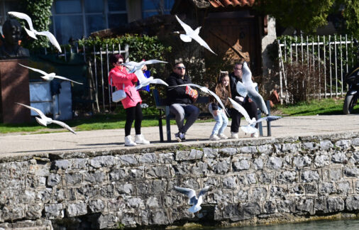 Пролетта подрани: Радост до небо!