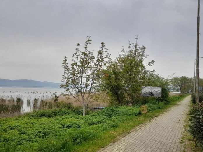 pesacka pateka dojran