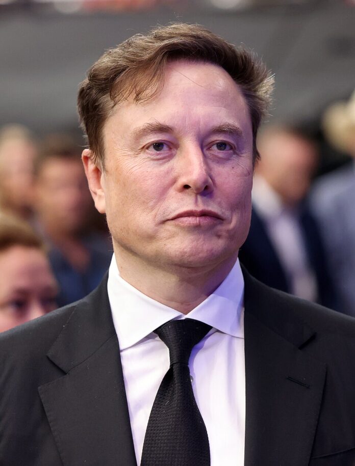 Elon_Musk_-_54820081119_(cropped)