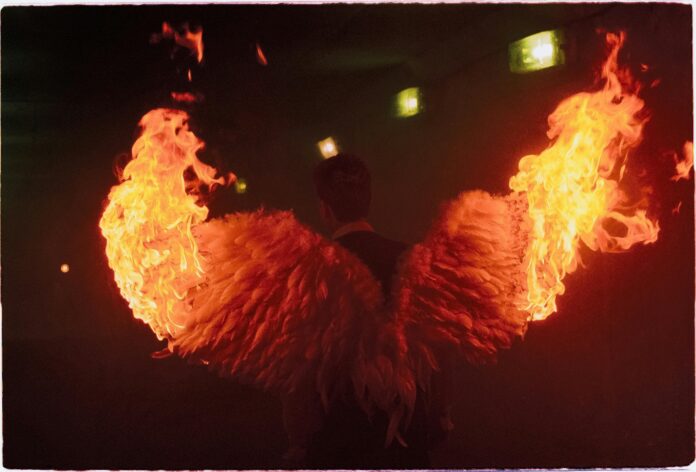 fenix