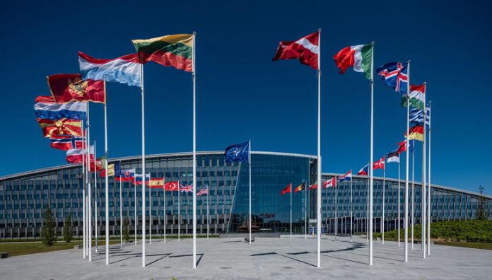nato sediste