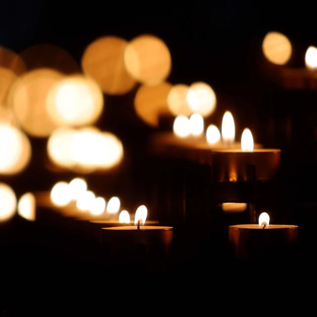 svekja pexels-mohammad-reza-fathian-62183-225073