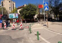 Ќе се кастрат и сечат заболените и небезбедни дрвја на улиците „Ленинова“ и „Мирослав Крлежа“