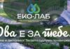 Доделени наградите за трите најкреативни видеа