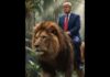 Трамп повторно одлучи да си поигра: Неверојатно видео генерирано со ВИ кое не се објаснува, „важно е дека сите го сакаат“/ВИДЕО