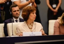 Сиљановска Давкова од Софија: Освен уставните измени, Бугарите имаат барања поврзани и со работата на историската комисија