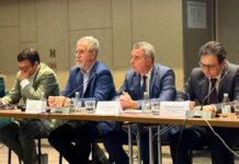 По „Киро Глигоров“, фотоволтаици и во училиштата „Коле Неделковски“ и „Гоце Делчев“