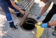 Дератизација и дезинсекција на територијата на Ѓорче Петров