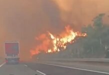 Пожари беснеат низ Грција: Горат куќи и деловни згради на Крит, огнот беснее и во централниот дел од земјата/ВИДЕО