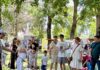 Проблемот со бездомните кучиња не започнува на улица, туку најчесто со неодговорно сопствеништво