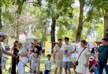 Проблемот со бездомните кучиња не започнува на улица, туку најчесто со неодговорно сопствеништво