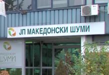 Кривична пријава за поранешен директор на „Национални шуми“: Предизвикал штета од над 2 милиони денари