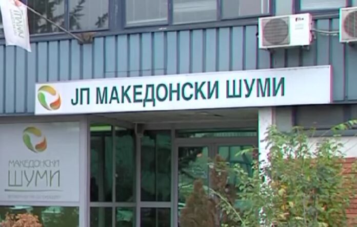 makedonski sumi video