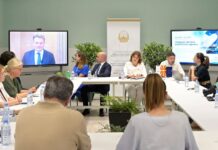 Од ваучери за ранливите семејства до гасни интерконекции за европска иднина на Македонија