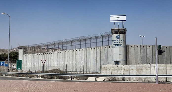 Palestine_(4767357955)
