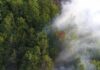 Осум пожари на отворено во Македонија: Гори во Куманово, Пехчево и дебарско