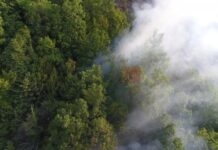 Осум пожари на отворено во Македонија: Гори во Куманово, Пехчево и дебарско