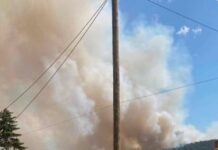 Пожар во близина на Солун: Евакуирана е населба, едно лице го загуби животот – огнената стихија е ставена под контрола/видео