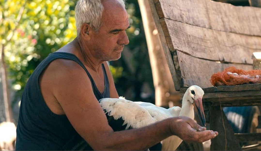 siljan