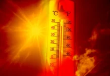 Шпанија се соочува со историски топлотен бран: Рекордни 43,7°C и прва жртва (ВИДЕО)