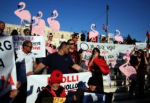 „Фламинго револуција“ во Албанија: Брисел ја предупреди Тирана поради луксузното одморалиште на Џаред Кушнер