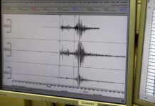 Силен земјотрес ја погоди Јапонија: Земјата се тресеше со јачина од 7,2 степени/ВИДЕО