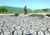 Европа останува без вода: Екстремна суша ги уништува посевите и ги празни реките