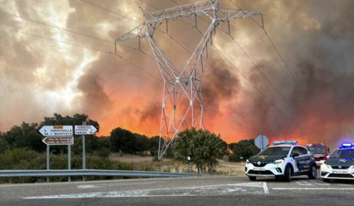 Spain battles wildfires amid persistent heatwaves