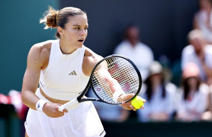 Wimbledon Grand Slam tennis tournament - Day 6