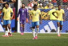 Збогум. Бразил се претвори во чудовиште!