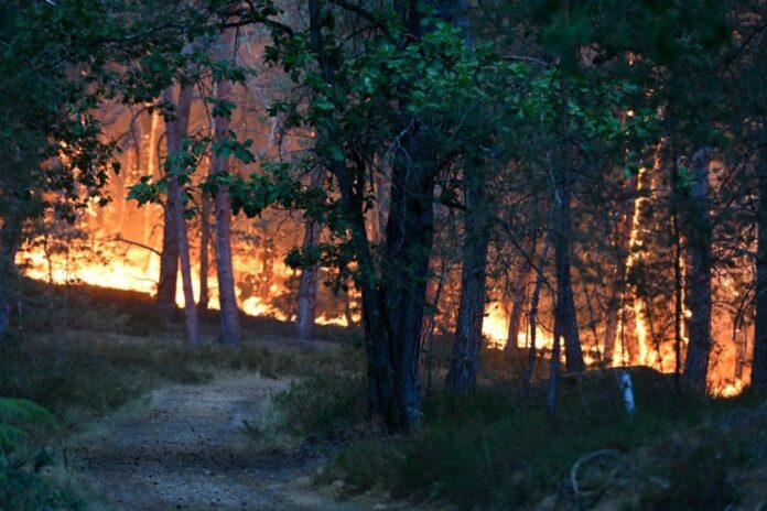 Major fire rages in Fontainebleau Forest