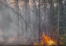САД ќе воведат царини за Канада поради чадот од шумските пожари