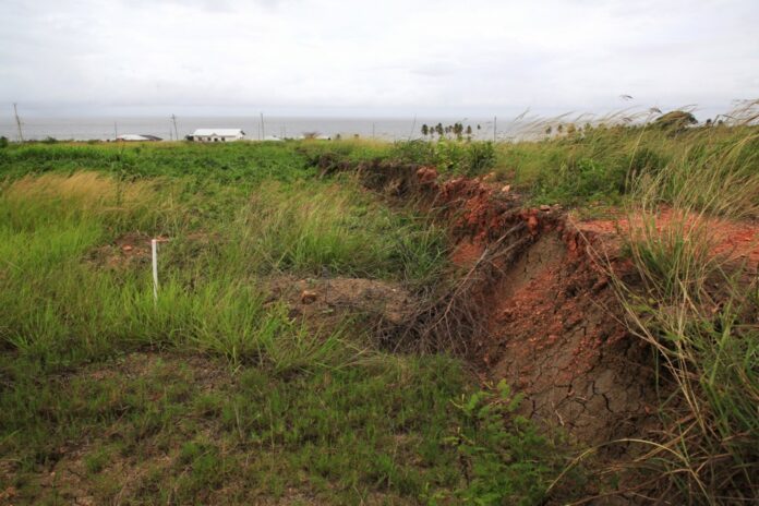 Earthquakes in Venezuela reshaped southwest coast of neighboring island of Trinidad