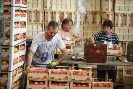Државата мора да има стратешки резерви на храна, исто како што има резерви на нафта