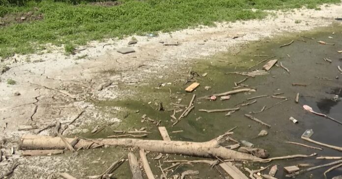 dunav video vodostoj