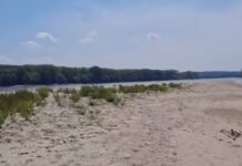 Нивото на Дунав најниско во последните 50 години