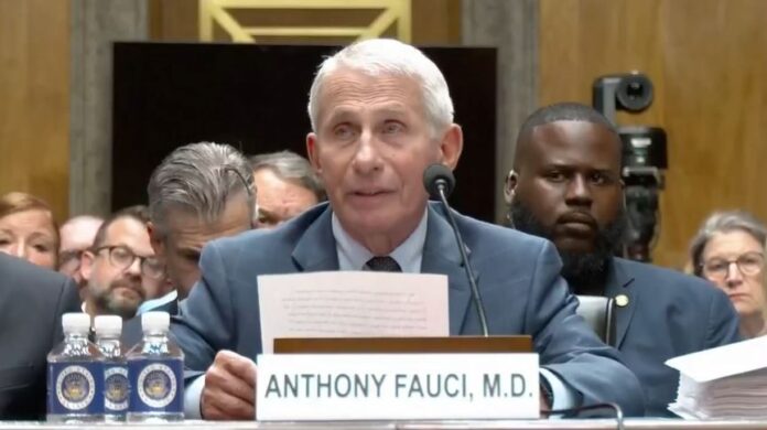 fauci screen x