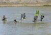 Подводните фонтани во Вардар чекаат спас