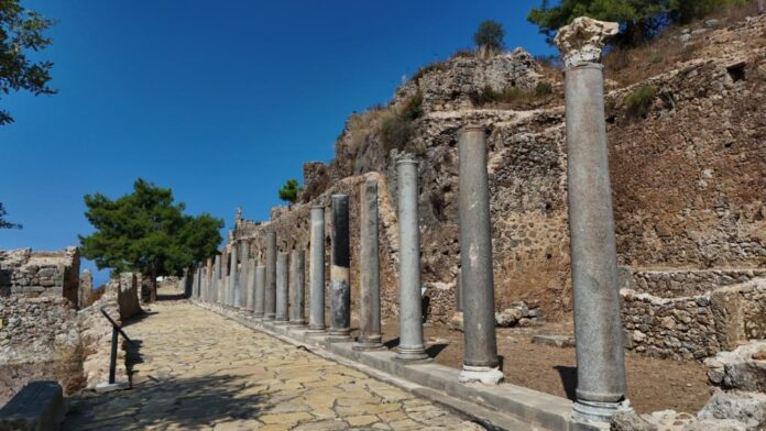 Foto_Siedra