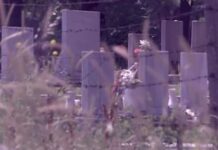 Се бара нов газда на градските гробишта Бутел, Камник и Ѓорче Петров