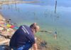 Во Дојран и Неготино отстранети гранати од Првата светска војна