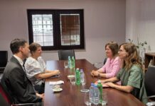 Шведска поддршка за енергетските реформи во Македонија