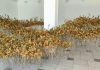 Изложба „Пејзажни знаци 26” од Атанас Атанасоски пред прилепчани