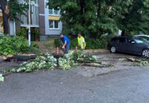 Карпош се мобилизира по невремето: Лукровски и општинските служби на терен/ФОТО