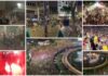 Четворица загинаа по пласманот на Мексико во осминафиналето (ВИДЕО)