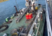 Драма на Дунав: Се насука крузер поради нискиот водостој, уште 15 бродови заробени во соседството/ВИДЕО