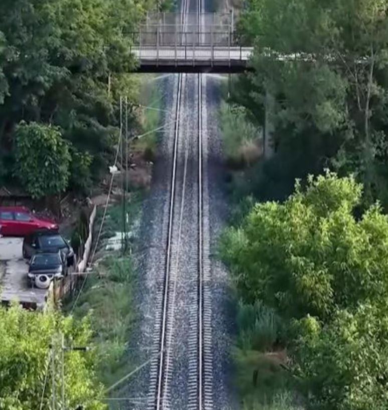 nikoloski 1