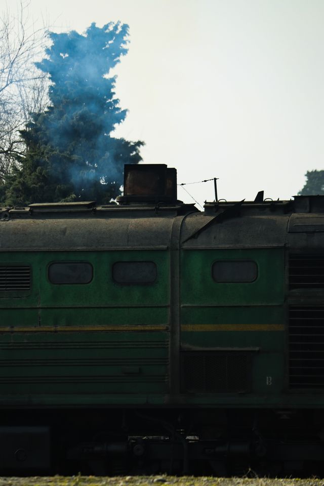 pexels-ren-lavsad-379156630-15346172
